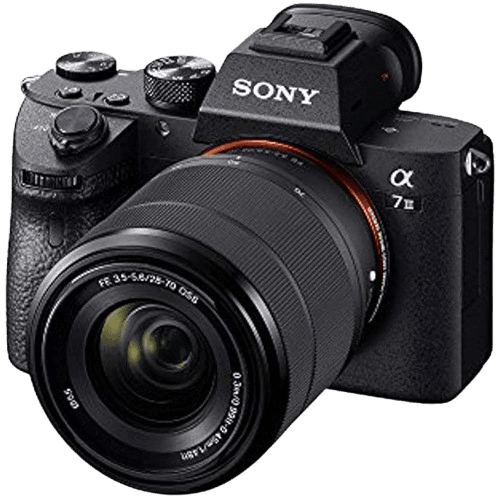 Professional Camera